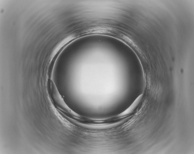 X0000059091426200510071126