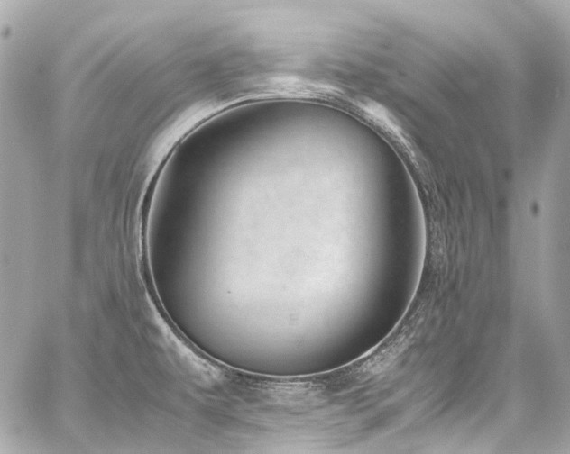 X0000059091479200510071125