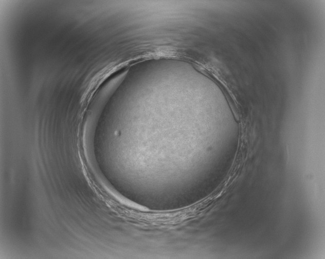 X0000059090001200510101157