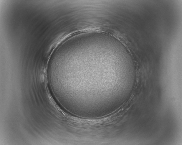 X0000059090002200510101157