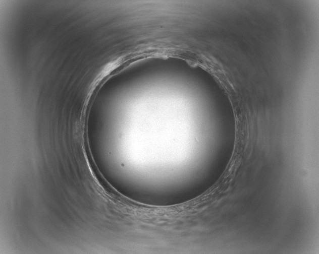 X0000059090003200510101157