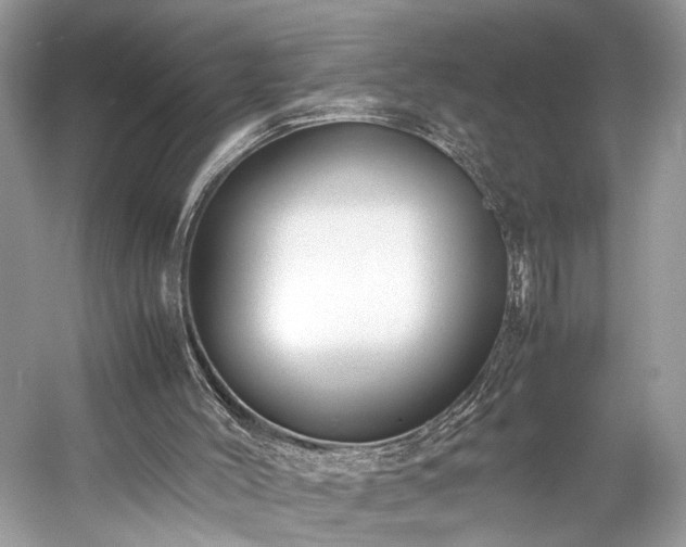 X0000059090004200510101157