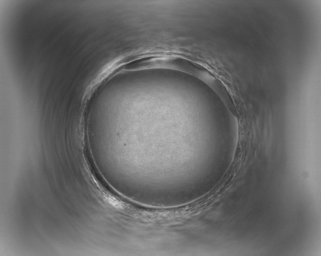 X0000059090005200510101157