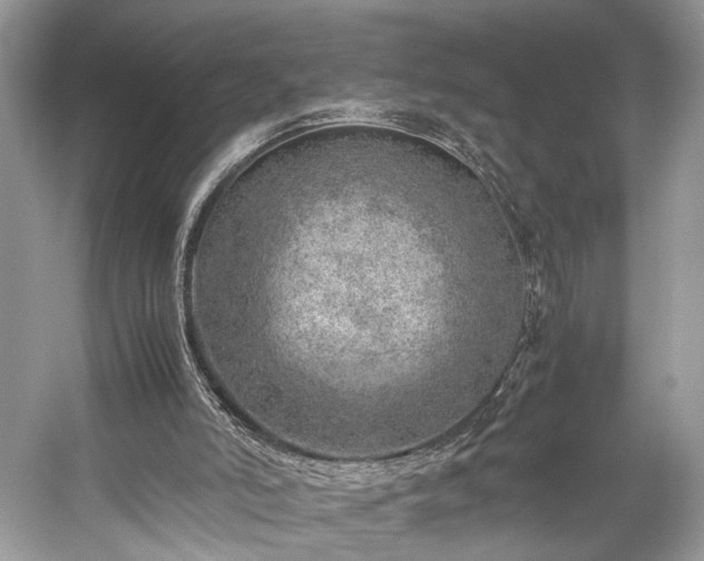 X0000059090006200510101157