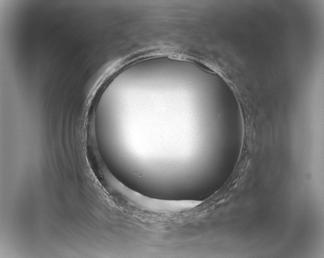 X0000059090007200510101157