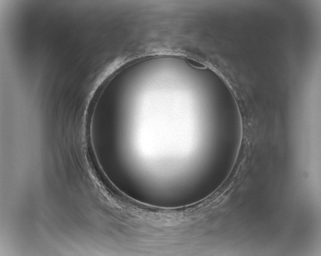 X0000059090008200510101156