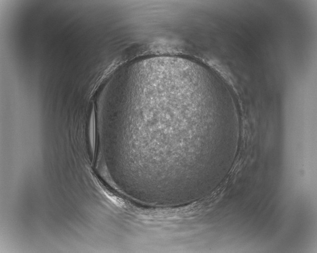 X0000059090009200510101156