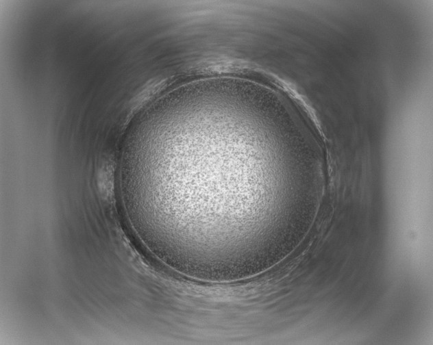 X0000059090010200510101156