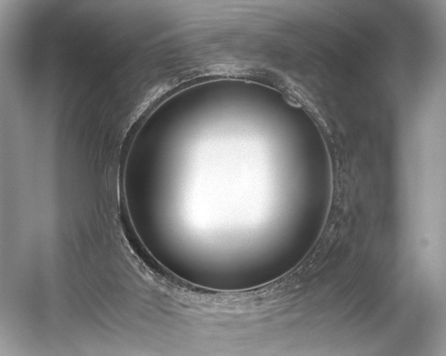 X0000059090011200510101156