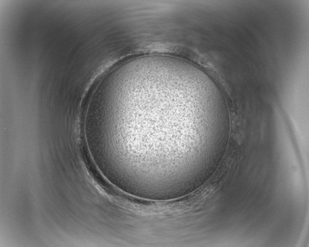 X0000059090012200510101156