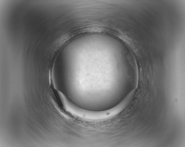 X0000059090013200510101156