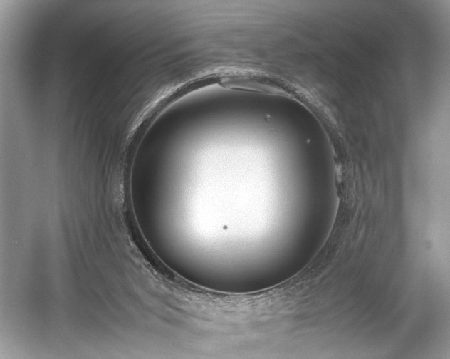 X0000059090015200510101156