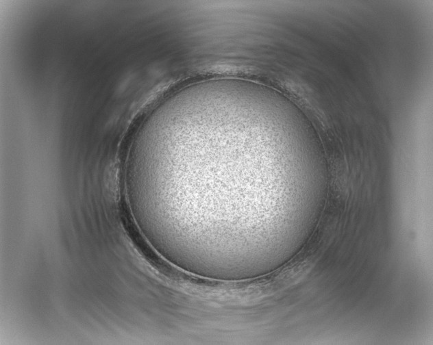 X0000059090016200510101156