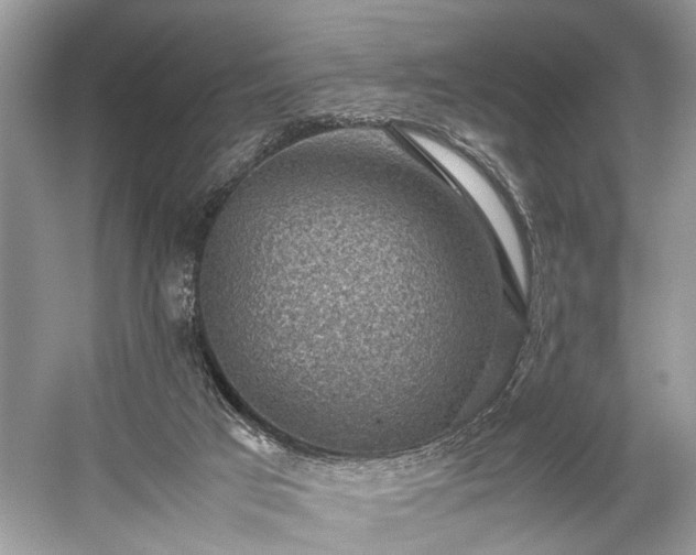 X0000059090017200510101156