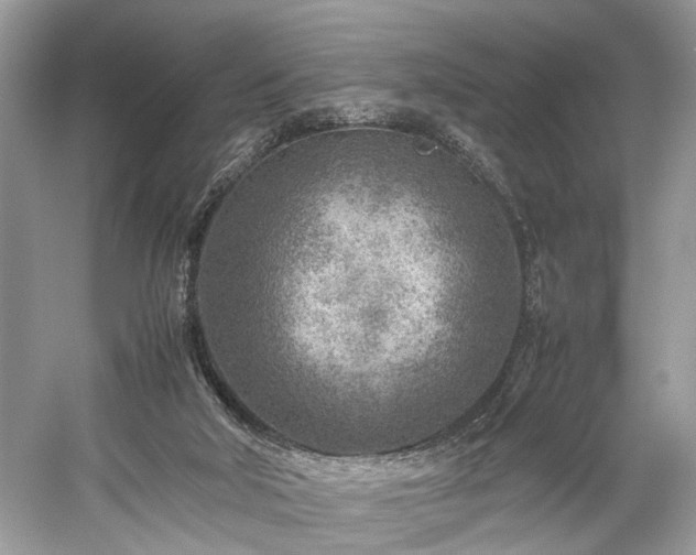 X0000059090018200510101156