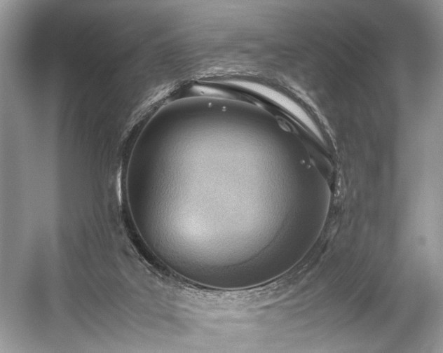 X0000059090019200510101156