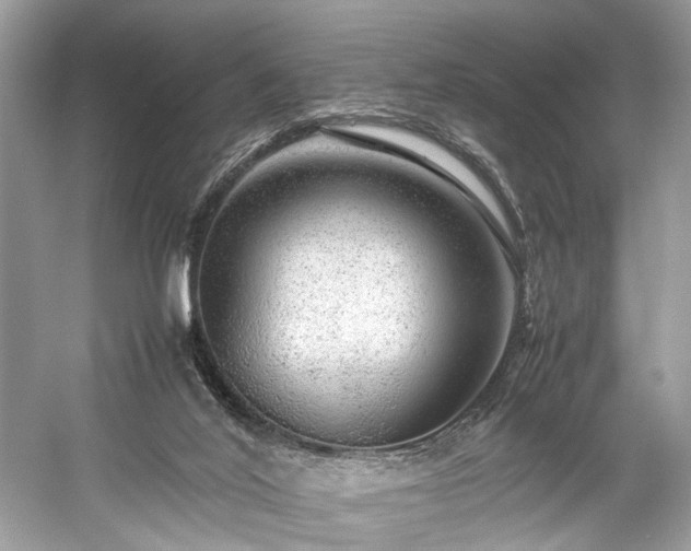 X0000059090020200510101156