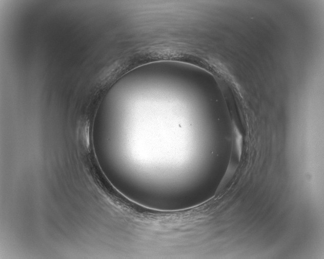 X0000059090021200510101156