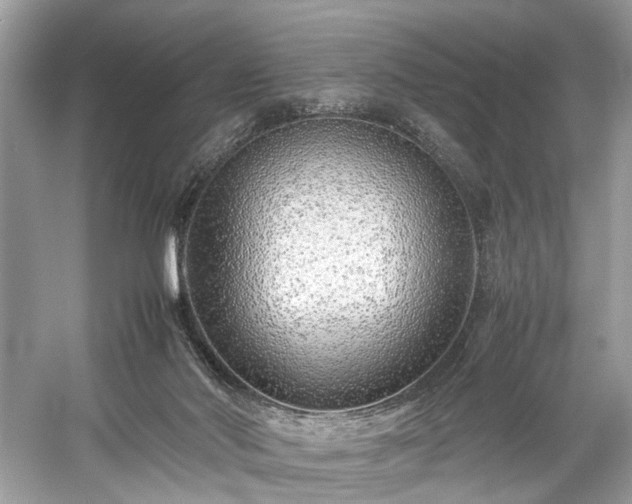 X0000059090022200510101156