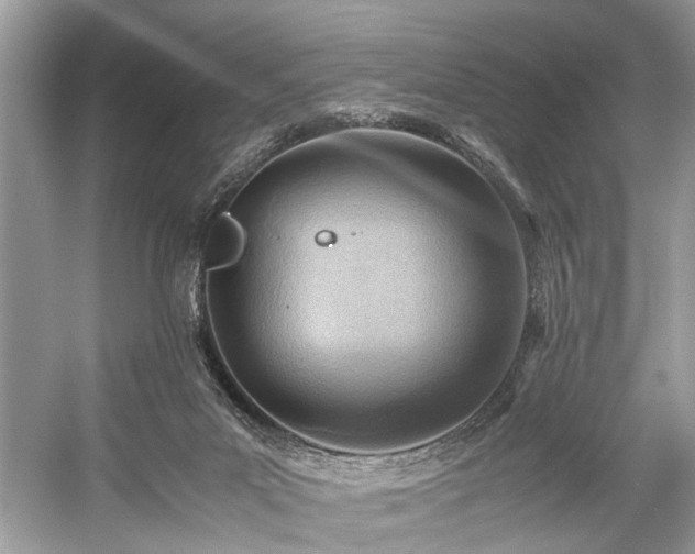 X0000059090023200510101156