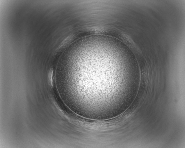 X0000059090024200510101156