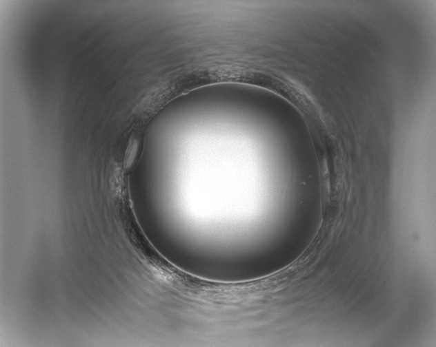 X0000059090025200510101156