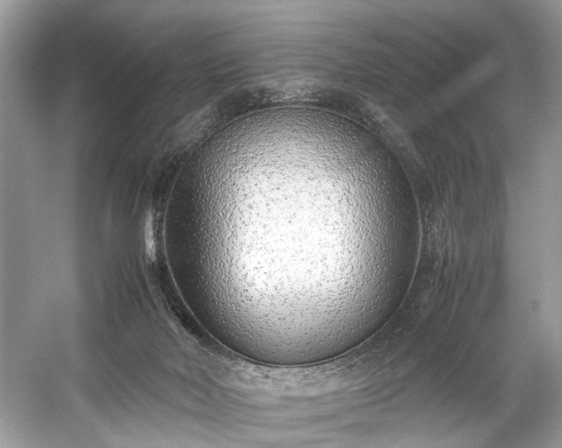 X0000059090026200510101156