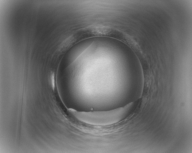 X0000059090027200510101156