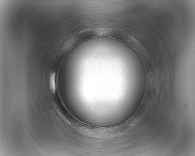 X0000059090028200510101156