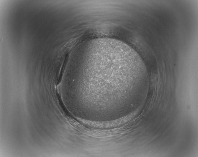 X0000059090029200510101156