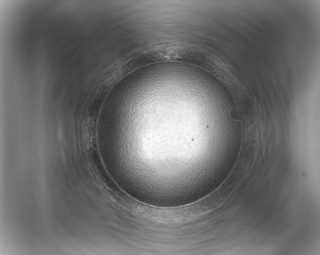 X0000059090030200510101156