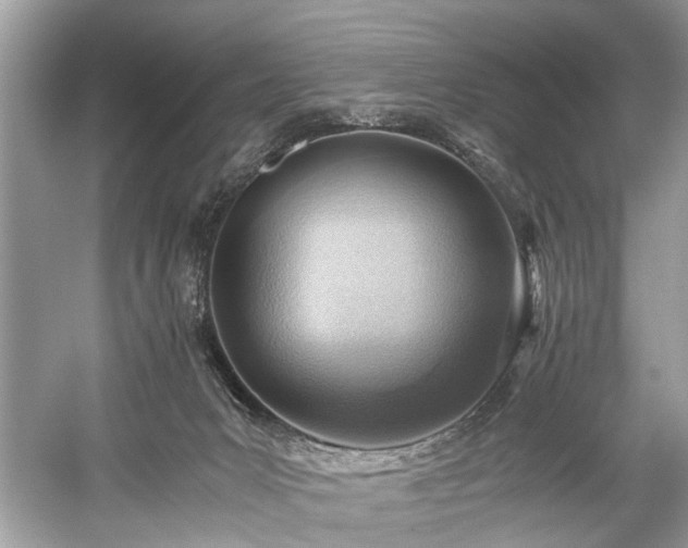 X0000059090031200510101156