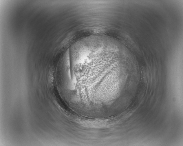 X0000059090032200510101156