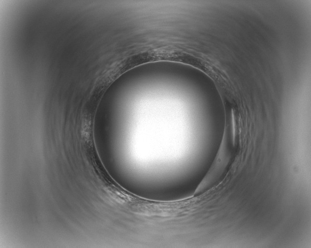 X0000059090033200510101156