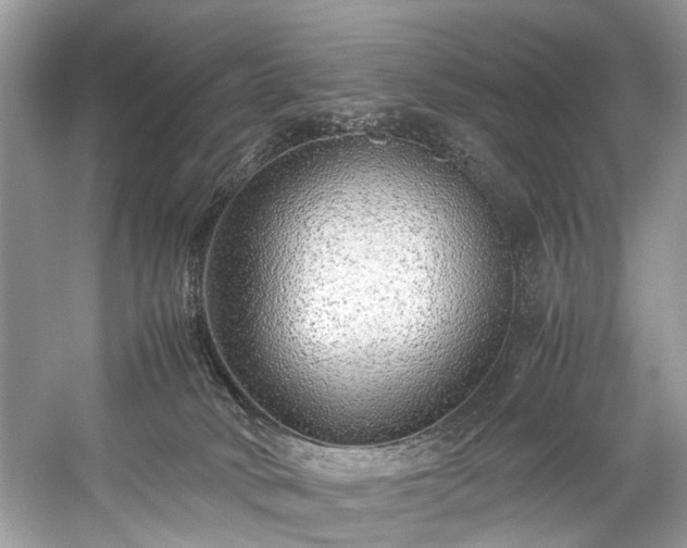 X0000059090034200510101156