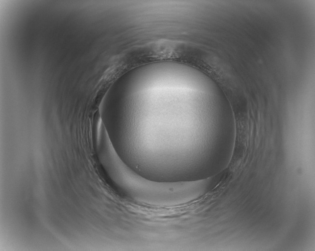 X0000059090035200510101156