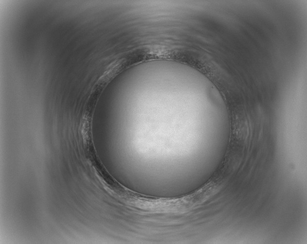 X0000059090036200510101156