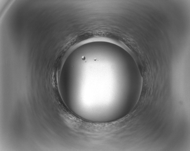 X0000059090037200510101156