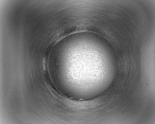 X0000059090038200510101156