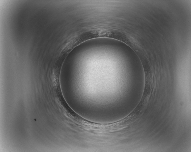 X0000059090039200510101156