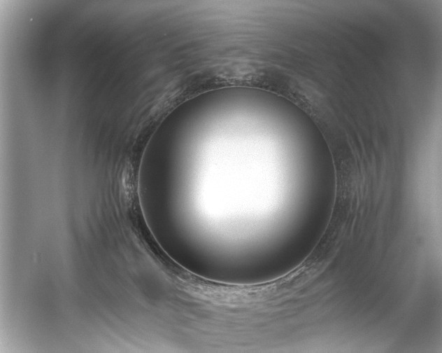 X0000059090040200510101156