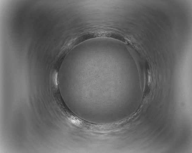 X0000059090041200510101156