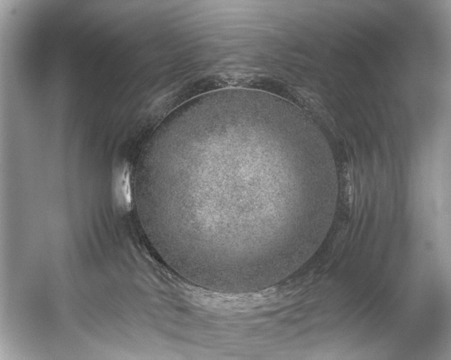 X0000059090042200510101156