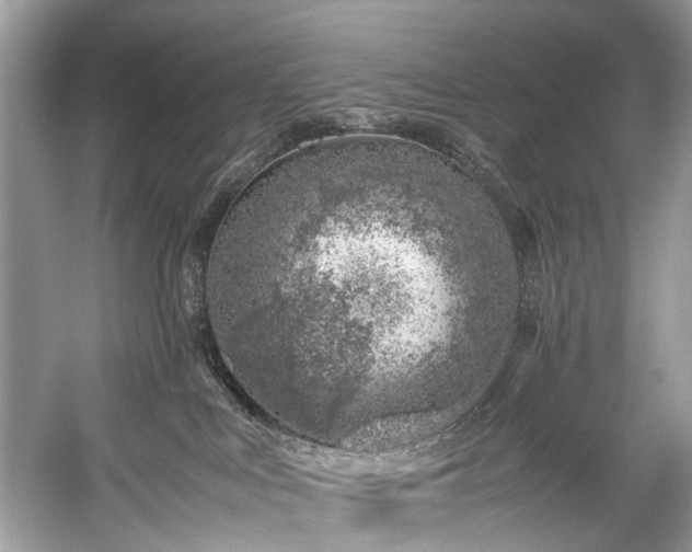 X0000059090043200510101156