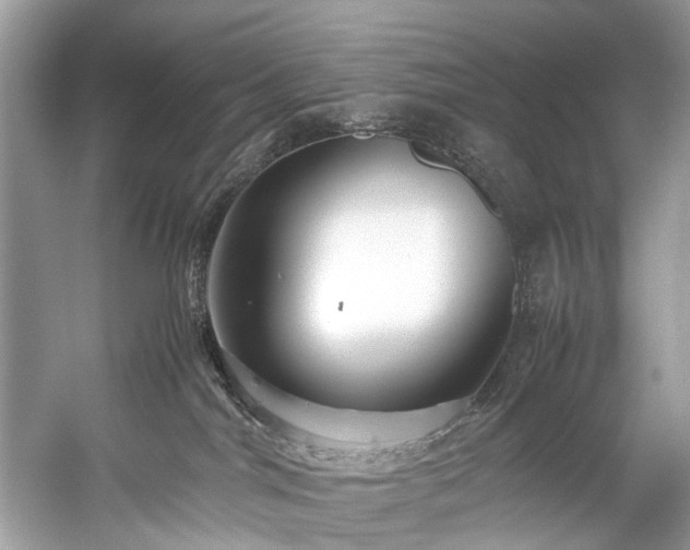 X0000059090044200510101156