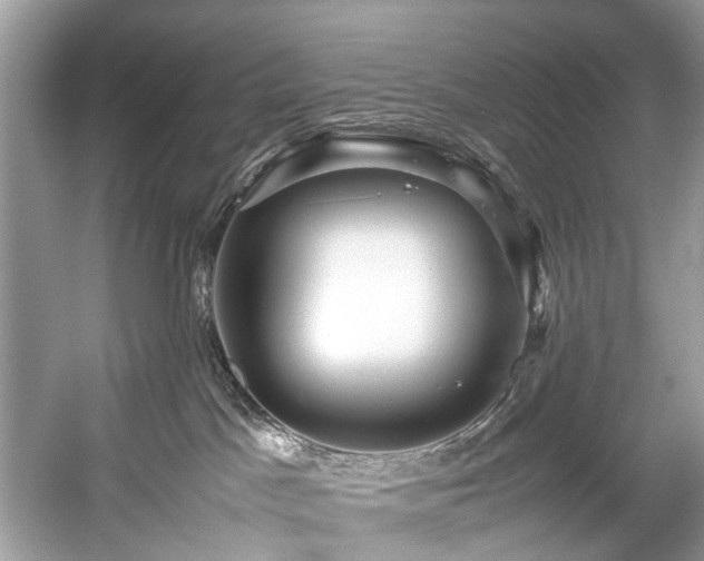 X0000059090045200510101156