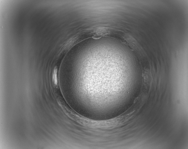 X0000059090046200510101156