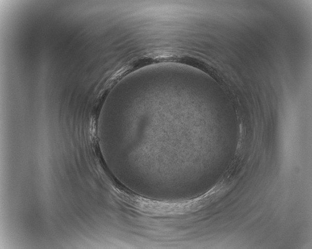 X0000059090048200510101156