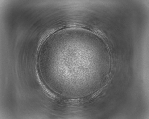 X0000059090049200510101155