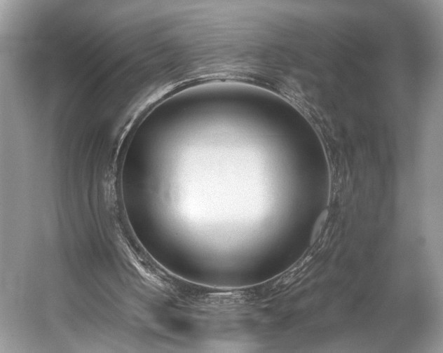 X0000059090050200510101155